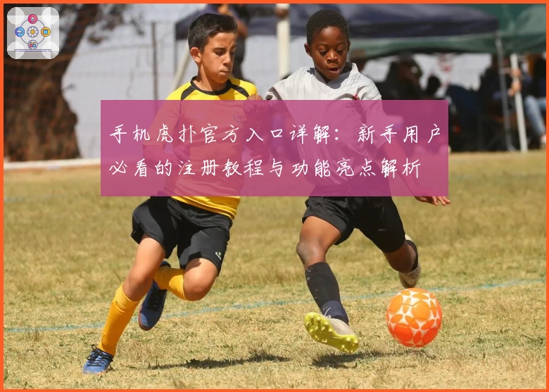 手机虎扑官方入口详解：新手用户必看的注册教程与功能亮点解析