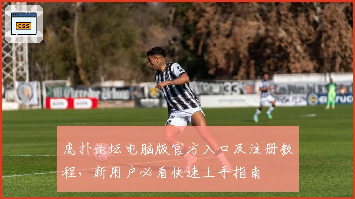 虎扑论坛电脑版官方入口及注册教程，新用户必看快速上手指南