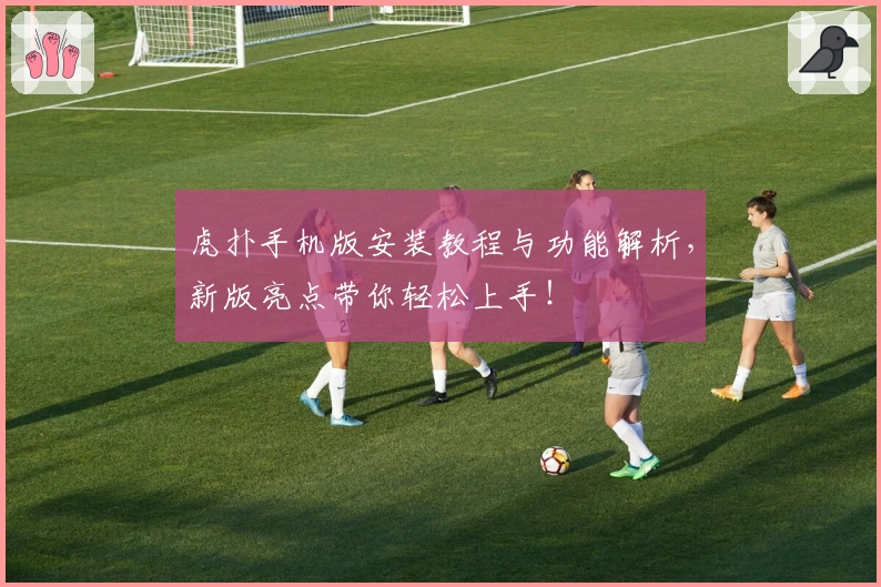 虎扑手机版安装教程与功能解析，新版亮点带你轻松上手！